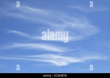 Wispy clouds on a summer blue sky. Cirrus clouds range in thickness from 100 m (330 ft) to 8,000 m (26,000 ft), with an average thickness of 1,500 m Stock Photo