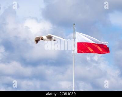 on a flagpole the red and white flag of Poland is waving Stock Photo