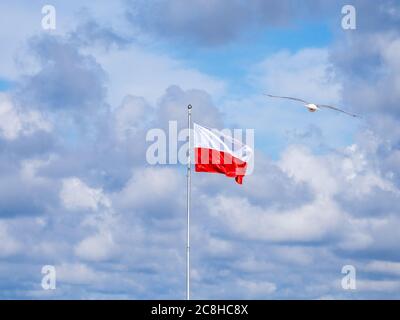 on a flagpole the red and white flag of Poland is waving Stock Photo