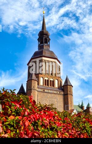 St. Nicholas Church with glowing autumn plants in the foreground in the old town of Stralsund, Germany Stock Photo