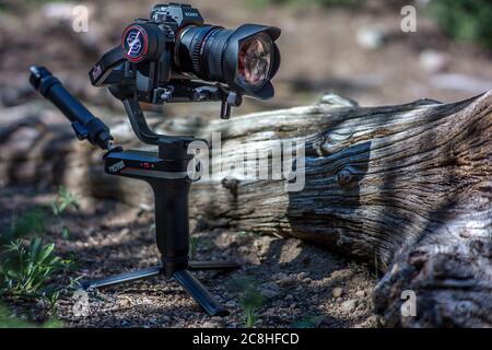 Sony A7S II and Rokinon 14mm f/2.8 Lens on a Zhiyun Weebill-S Gimbal Set Down Next to a Log