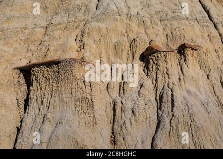 Differential erosion with hard rock shelf and soft sediments along Caprock Coulee Nature Trail in Theodore Roosevelt National Park, North Unit, North Stock Photo