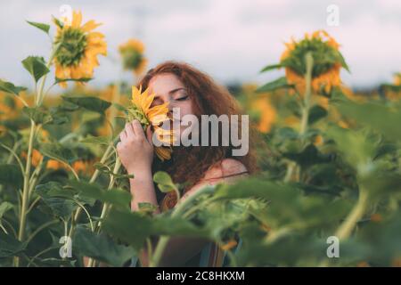 Beautiful young girl with red wavy hair and freckles in stripped colourful dress enjoying nature on the field of sunflowers. The concept of summer and Stock Photo