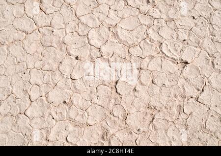 Dry, parched and cracked white mud patterns in the eastern desert of the Badia region, Wadi Dahek, Hashemite Kingdom of Jordan. Stock Photo