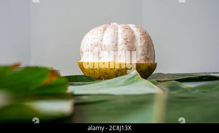Close up of grapefruit Stock Photo
