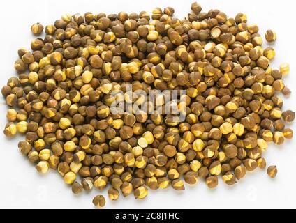 Rich & Traditional Crunchy Roasted (annagiri, Folva) chana or Gram - Bengal Grams / Chickpeas, known as chatpata futana or Phutana flavored with spicy Stock Photo