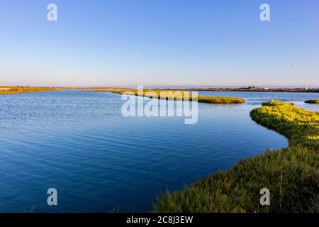 Peaceful lake with marshland against blue sky Stock Photo