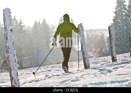 Young woman on the way with nordic cruising skis in wintry nature Stock Photo