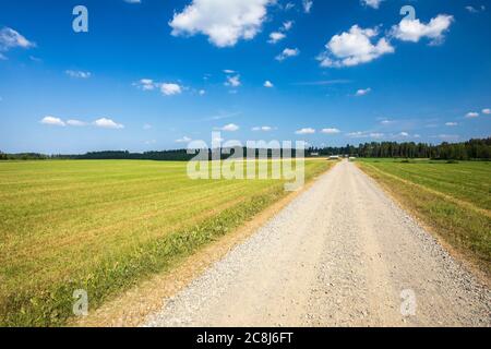 Long straight dirt road through farmland at Summer at countryside , Finland Stock Photo