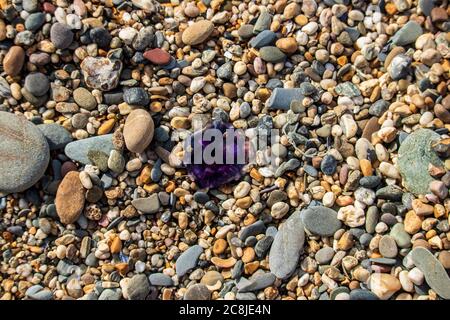 PolzeathBeach-colored stones on an English beach in Cornwall Stock Photo