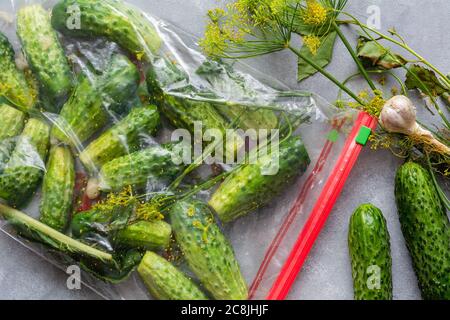 Low-salt cucumbers in a bag. Crunching salted cucumbers without brine. Dry salting - a method of cooking pickles. Stock Photo