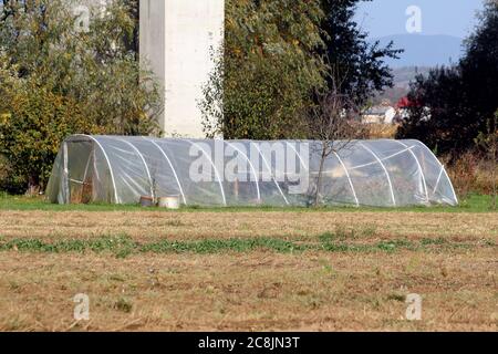 Long homemade garden greenhouse made from white plastic pipes and covered with transparent nylon used to grow tomatoes and other garden plants Stock Photo