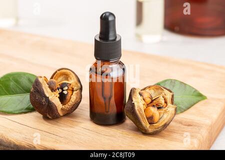 Camellia essential oil bottle and camellia seeds on wooden table. Beauty, skin care, wellness Stock Photo