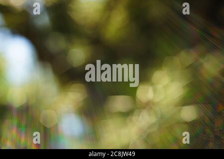 Blurred bokeh background with solar glow spectrum rays of all shades Stock Photo