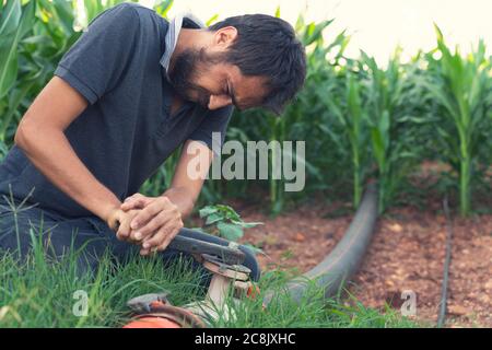 Farmer's hand on faucet of water supply on farm Stock Photo