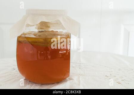 Sweet black tea with kombucha scoby fermenting Stock Photo