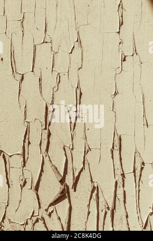 old wooden texture with beige shabby paint Stock Photo