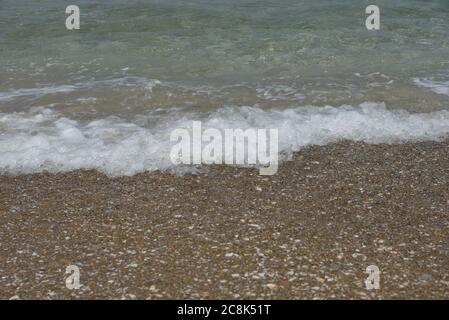 Seashell on a sandy seashore Stock Photo