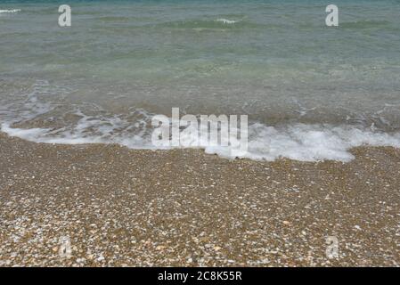 Seashell on a sandy seashore Stock Photo
