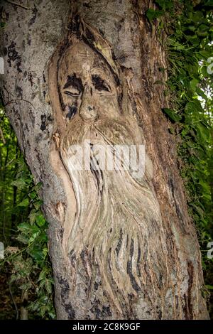 treetrunk carving Stock Photo
