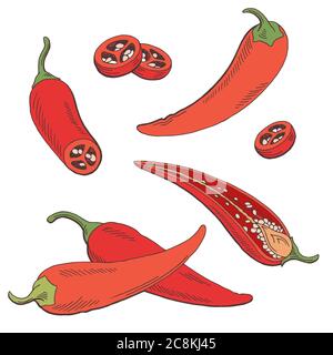 Chili pepper graphic color isolated sketch illustration vector Stock Vector