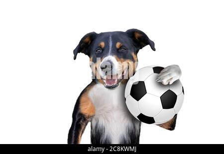 Cute Dog Ball Dog Football Player Trainer Football Basketball