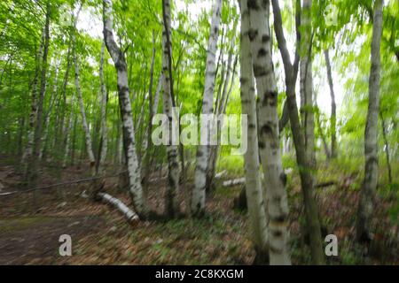 Pyramid Point Hiking Trail, Sleeping Bear Dunes National Lakeshore, Michigan Stock Photo