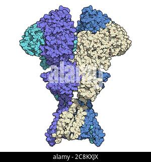 Nmda 2 hotsell