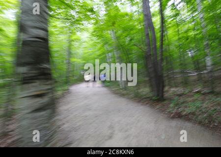 Pyramid Point Hiking Trail, Sleeping Bear Dunes National Lakeshore, Michigan Stock Photo