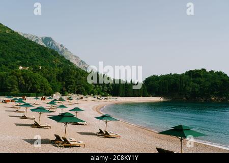 Luxurious wooden sun loungers and green beach umbrellas, on a sandy beach in Milocer Park, near Sveti Stefan Island, Montenegro. Stock Photo