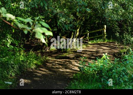 One's path is never straight forward. Looking at the different paths is similar to looking at the choices you make in life. An abstract perspective at Stock Photo