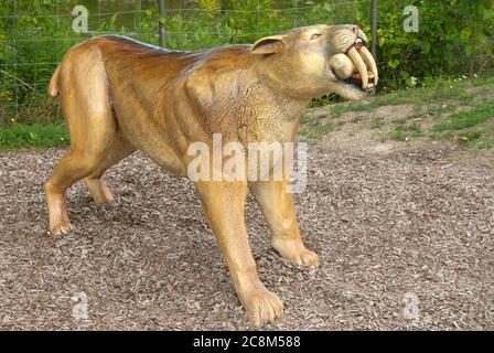 Saber tooth tiger sculpture Stock Photo