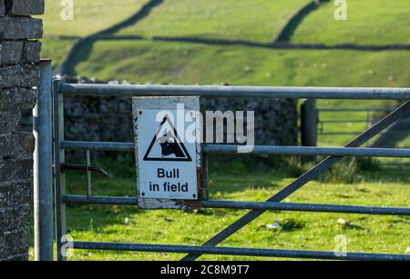 Bull in Field sign, attached to a galvansied farm gate in Swaledale, North Yorkshire, UK.  Blurred background of agricultural pasture land. Landscape Stock Photo