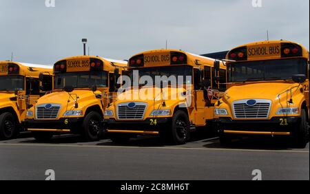 A single row of school buses, front view, in the summertime in the middle of the day Stock Photo