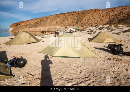 Setting up camp while on a sea kayaking tour around Isla Espiritu Santo, BCS, Mexico. Stock Photo