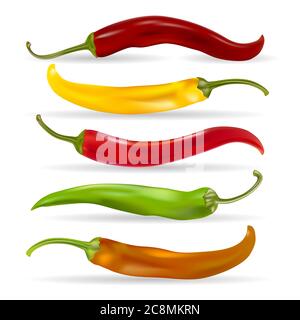 Realistic Detailed Various Hot Chili Pepper Set. Vector illustration. Stock Vector