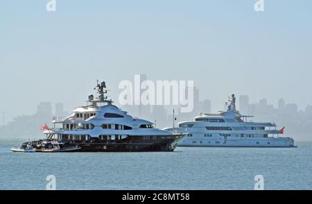 super yachts of rich anchor in sausalito on san francisco bay  in marin county usqa during covid 19 pandemic Stock Photo