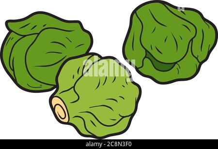 Vector color illustration, colorful vegetables, Brussels sprouts Stock Vector