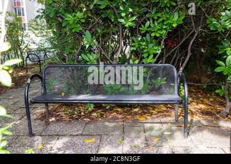 Old vintage park Bench in a friendly and peaceful atmosphere. In front of an green tree. Stock Photo