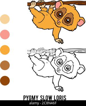 Coloring book for children, Pygmy slow loris Stock Vector