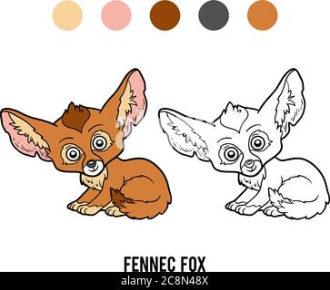 Coloring book for children, Fennec fox Stock Vector