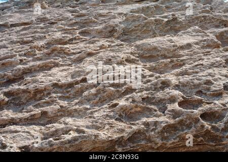 Surface sandy rock. Rocky shore of the Caspian Sea. Stock Photo