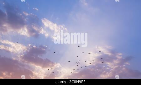 Rays of light pass through clouds on a blue and pink sky at sunset Stock Photo