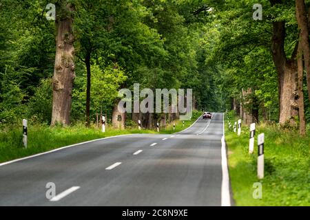 Country road through a forest, near Hofgeismar, in Hessen, Germany Stock Photo