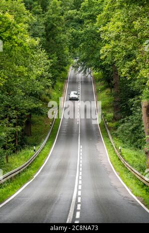 Country road through a forest, near Hofgeismar, in Hessen, Germany Stock Photo