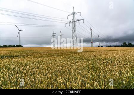 Power lines, high-voltage lines, wind power plants, grain field, northeast of Höxter, NRW, Germany Stock Photo