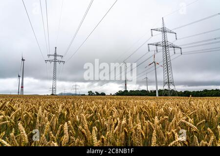 Power lines, high-voltage lines, wind power plants, grain field, northeast of Höxter, NRW, Germany Stock Photo