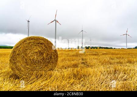 Power lines, high-voltage lines, wind power plants, grain field, northeast of Höxter, NRW, Germany Stock Photo