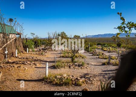 Tombstone, Arizona, USA - March 2, 2019: Morning view of the line of headstones at the famous Boot Hill Cemetery. Stock Photo