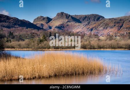The Langdale Pikes viewed from across the river Brathay. Stock Photo